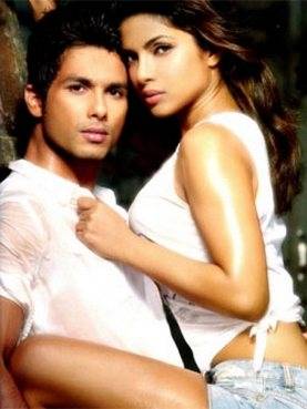 Are Priyanka chopra and Shahid Kapoor dating